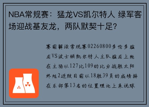 NBA常规赛：猛龙VS凯尔特人 绿军客场迎战基友龙，两队默契十足？